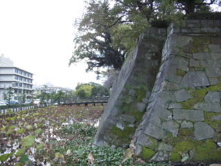 本丸東北隅の石垣