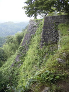 岡城三の丸の石垣